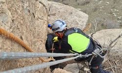 Siirt’te dağlık alanda 3 gündür mahsur kalan keçi kurtarıldı