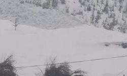 Çığ düşme anı kameraya yansıdı...