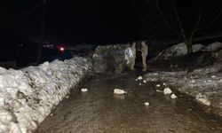 Şırnak’ta dev kayalar köye düştü, 30 hayvan telef oldu