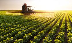 Tarımsal destekleme ödemeleri bugün çiftçilerin hesaplarına aktarılıyor