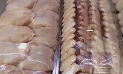 Tavuk eti üretimi yüzde 7,1 arttı