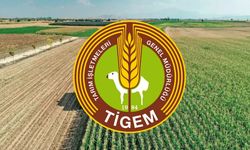 TİGEM'e 254 kişilik kadrolu işçi alınacak