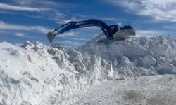 Şırnak'ta ekiplerin kar mesaisi sürüyor