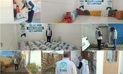 Umut Kervanından Ceylanpınar'da onlarca aileye gıda desteği