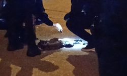 Uzun namlulu silahla rastgele ateş açan şahıs tutuklandı