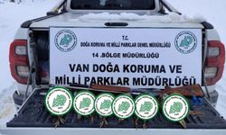 Van’da yasadışı avcılığa ceza kesildi