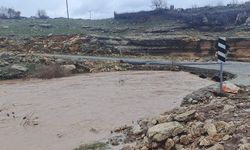 Lice'de dereler taştı, köprüler hasar gördü