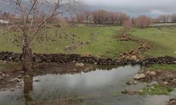 Yoğun yağışlar çiftçinin yüzünü güldürdü