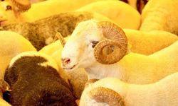 Kurban Bayramı ne zaman, hangi günlere denk geliyor?