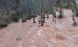 Silvan'da sağanak taşkınlara neden oldu