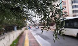 Diyarbakır’da bayramın ilk günü yağışlı geçiyor