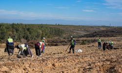 Adana’da 1,2 milyon fidan toprakla buluşturuldu