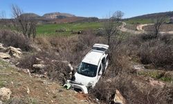 Adıyaman'da köpeğe çarpmamak isterken şarampole devrildi: 4 yaralı