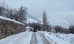 Batman'da kar mesaisi devam ediyor