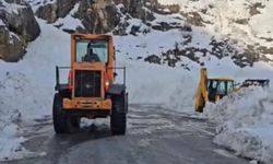 Çığın düştüğü Şırnak-Hakkari yolu ulaşıma açıldı