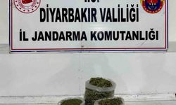 Diyarbakır'da 14 kilo esrar ele geçirildi