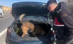 Gaziantep'te şüpheli araçta narkotik ele geçirildi: 3 gözaltı