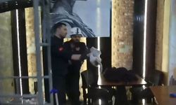 Havalandırma boşluğunda mahsur kalan kedi kurtarıldı