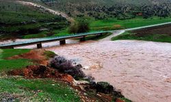 Sağanak yağış Sıtma Pınar Çayı'nın debisini arttırdı