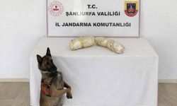 Şanlıurfa'da 2 kilogram sentetik ele geçirildi: 2 gözaltı