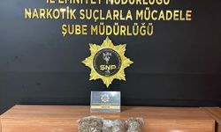Şanlıurfa'da narkotik operasyonu:2 gözaltı