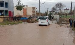 Siirt'te sağanak yağış hayatı olumsuz etkiledi