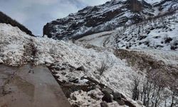 Şırnak'a son dönemlerin en büyük çığı düştü