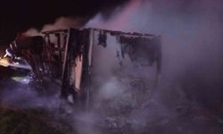 Şırnak'ta mandalina yüklü tır cayır cayır yandı