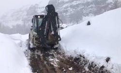 Şırnak'ta yağan kar, yolları kapattı
