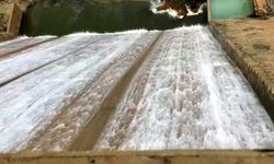 Ardıl Barajı taştı: Çiftçinin yüzü güldü