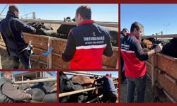 Aşıların "iğnesiz enjeksiyon yöntemi" ile uygulanmasına yönelik ilk adım