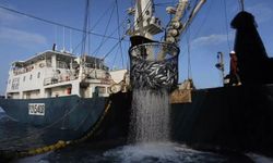 Bakan Yumaklı: Hint Okyanusu'nda yeni bir sayfa açtık