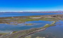 Kuraklık tehlikesi yaşayan Devegeçidi Barajı'nda sevindiren değişim