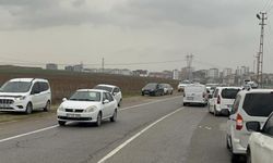 Batman’da bedava lahanayı duyan yağmura rağmen tarlaya akın etti