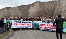 Bingöl’de HES tepkisi: Çocuklarımızın yarınlarını karartmayın