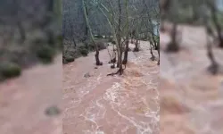 Burası Diyarbakır! Dere taştı, yol ve tarlalar sular altında kaldı