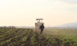 Çiftçilerden uyarı: Destek olmazsa ekim durur