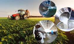 11 milyar liralık destekleme ödemesi bugün hesaplarda