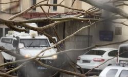 Diyarbakır'da 1 kişiyi öldürüp 1 kişiyi ağır yaralayan şahıs tutuklandı