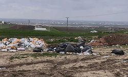 Diyarbakır'da çöp ve molozlar tepkilere yol açtı