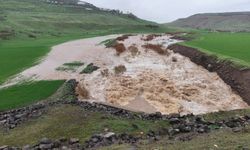 Diyarbakır'da gün içinde öne çıkanlar haberler kısa kısa...