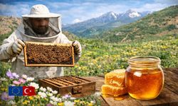 Doğal şifa Bingöl balı: AB tescilli eşsiz lezzet dünyaya açılıyor