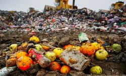 Dünya genelinde üretilen gıdanın üçte biri çöpe gidiyor
