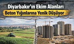 Diyarbakır'da tarım arazileri beton yığınlarına yenik düşüyor