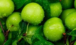 Baharın habercisi cep yakıyor: Eriğin tane fiyatı duyanları şoke etti