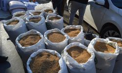 Fitre sadece bir yardım değil, oruçtaki kusurları tamamlayan ibadettir