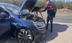 Gaziantep’te otoyolda araç içinde uyuşturucu kullanan 3 kişi yakalandı