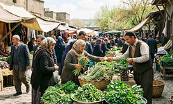 Diyarbakırın şifalı otları yakında tezgâhlarda yerini alacak