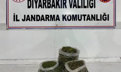 Diyarbakır’da narkotik operasyonları: 24 gözaltı