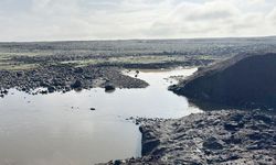 Diyarbakır'da gölet taştı: Tarım arazileri sular altında